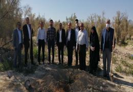 کاشت 600 اصله نهال در شهر لار به بهانه روز درختکاری و هفته منابع طبیعی